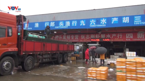 Chợ hải sản Hoa Nam Vũ Hán tròn 1 năm sau khi đóng cửa