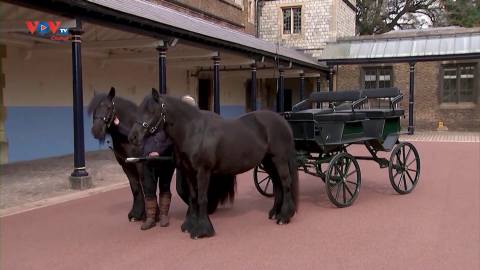 Cỗ xe ngựa gắn bó với Hoàng tế Philip khi sinh thời 