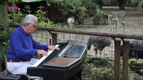 Colombia: Biểu diễn nhạc cổ điển cho động vật trong vườn thú