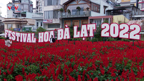 Đà Lạt sẵn sàng cho Festival hoa lần 9