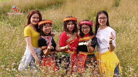 Đến Làng Văn hóa Du lịch Lũng Cẩm mùa hoa tam giác mạch