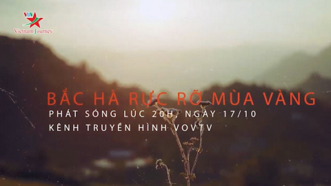 Đón xem chương trình “Bắc Hà rực rỡ mùa vàng”