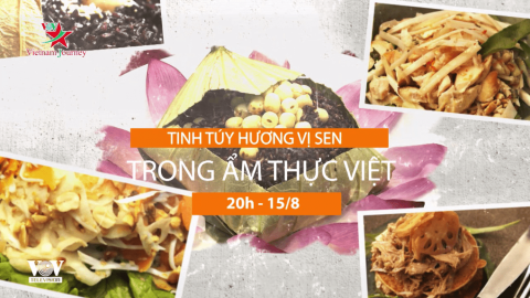 Đón xem chương trình “Tinh túy hương vị sen trong ẩm thực Việt” 