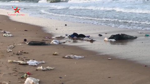 Du lịch xanh - Số 18: Các khu du lịch biển không sử dụng nhựa 1 lần
