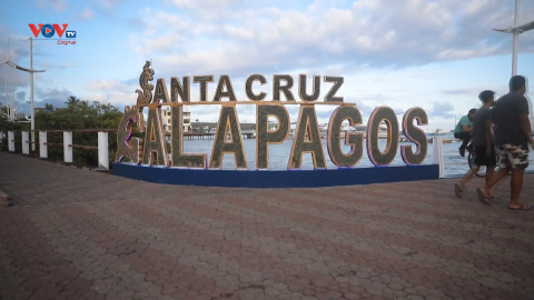 Ecuador: Số lượng khách du lịch quần đảo Galapagos giảm mạnh