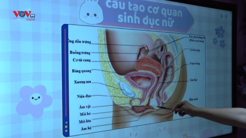 Giáo dục sức khỏe sinh sản sớm cho trẻ em gái ở tuổi vị thành niên