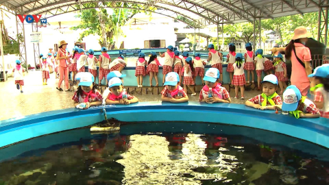 Giáo dục thế hệ trẻ bảo vệ môi trường tại Bảo tàng Hải Dương học Nha Trang