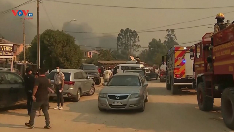 Hàng chục nghìn người phải sơ tán do cháy rừng tại Chile 