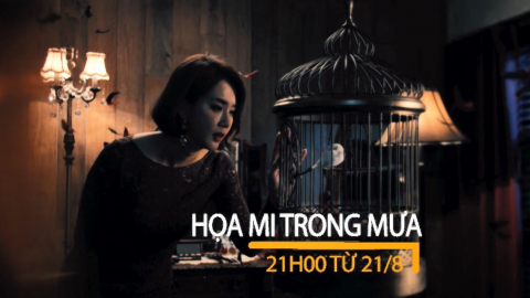 Họa mi trong mưa