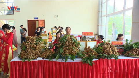 Hưng Yên: Giảm sử dụng thuốc BVTV, tăng sử dụng phân bón hữu cơ trong phát triển nông nghiệp