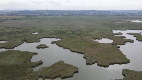 Hungary: Nắng nóng khiến hồ nước lớn nhất Hungary khô cạn