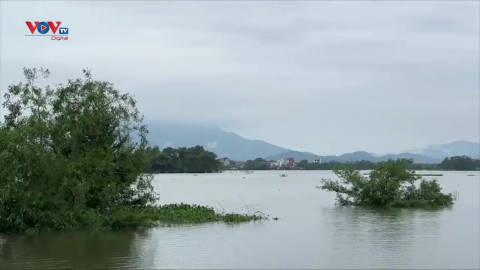 Huyện Quốc Oai (Hà Nội) vẫn chìm sâu trong nước lũ