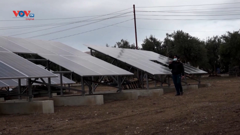 Iraq: Sử dụng năng lượng mặt trời vào sản xuất nông nghiệp