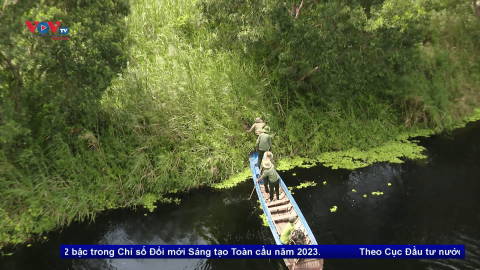 Kiên Giang tìm giải pháp quản lý nước, phòng chống cháy rừng tại vườn quốc gia U Minh Thượng