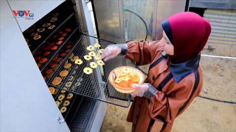 Máy sấy thực phẩm thân thiện với môi trường ở dải Gaza