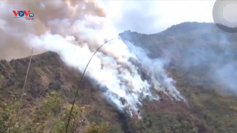 Nepal ghi nhận tình trạng cháy rừng tồi tệ nhất trong 10 năm qua 
