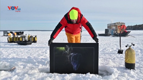 Nga: Triển lãm tranh đặc biệt dưới nước đóng băng 