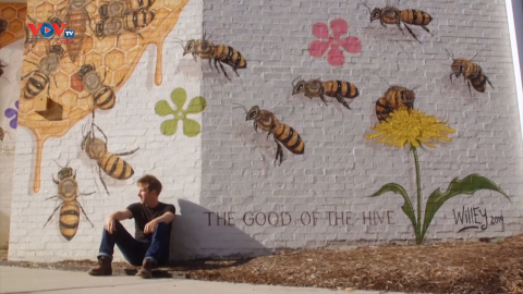 Nghệ sĩ Mỹ muốn vẽ 50.000 con ong trên khắp thế giới 
