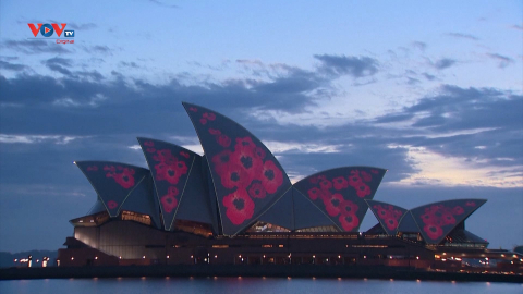 Nhà hát Opera Sydney nở hoa trong ngày tưởng niệm 