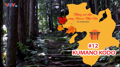 Những Nét Đẹp Vùng Kansai Nhật Bản: Con đường hành hương Kumano Kodo
