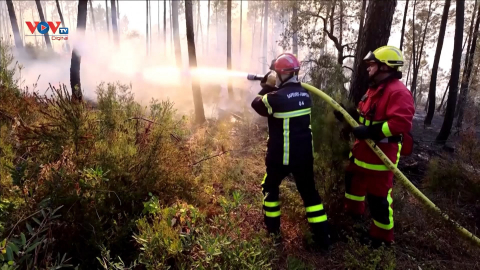 Pháp đối phó với cháy rừng nghiêm trọng