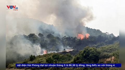 Quảng Ninh: Cháy rừng khiến hai người dân tử vong 