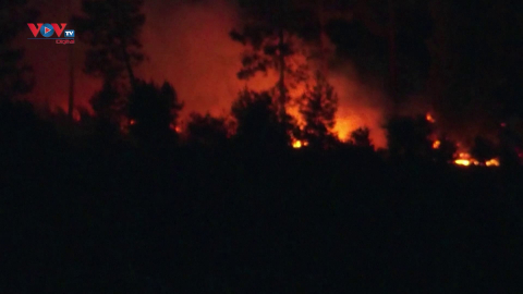 Tây Ban Nha: Hàng trăm người phải sơ tán do cháy rừng