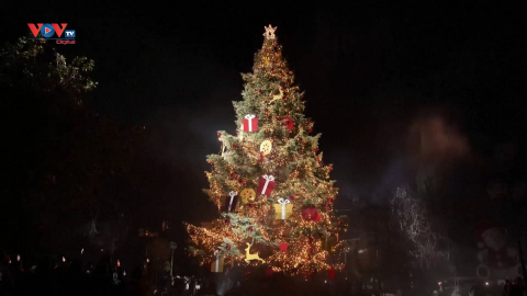 Thủ đô Athens (Hy Lạp) thắp sáng cây thông đón Giáng sinh