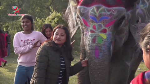 Thú vị cuộc thi sắc đẹp của voi tại Nepal 