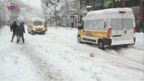 Thụy Sỹ: Tuyết rơi dày phủ trắng thành phố Zurich 