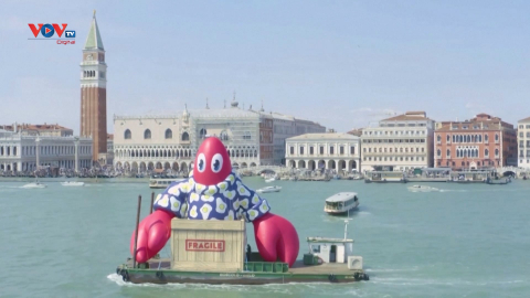 Tôm hùm khổng lồ xuất hiện trên kênh đào Venice