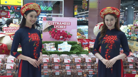 Trái vải thiều Việt Nam được ưa thích tại Thái Lan