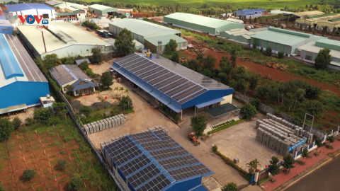 Xây dựng mạng lưới đối tác đa bên hướng tới 100% năng lượng tái tạo ở Việt Nam